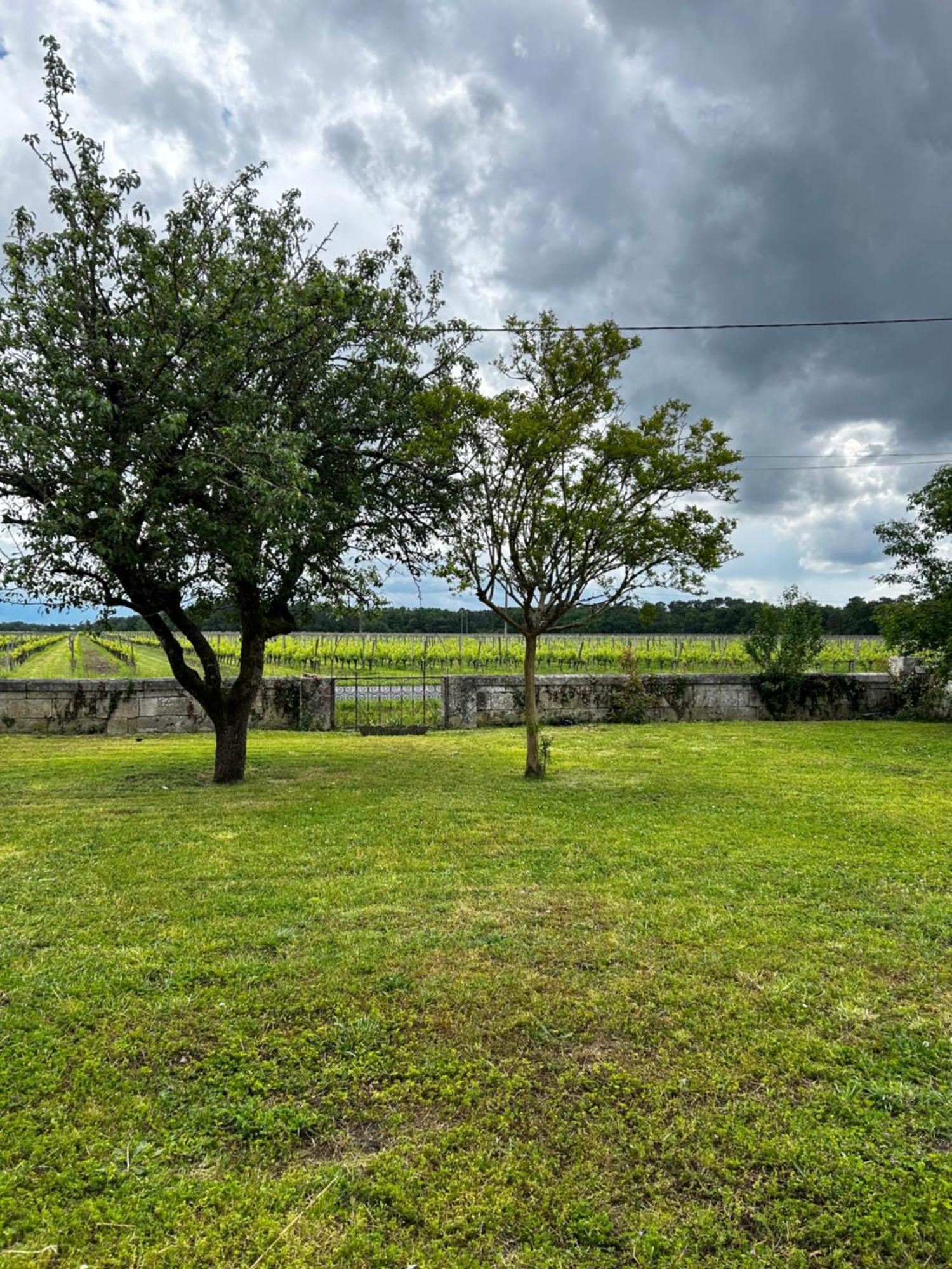 Apartament Escapades Cosy Au Coeur Des Vignes Cézac Zewnętrze zdjęcie